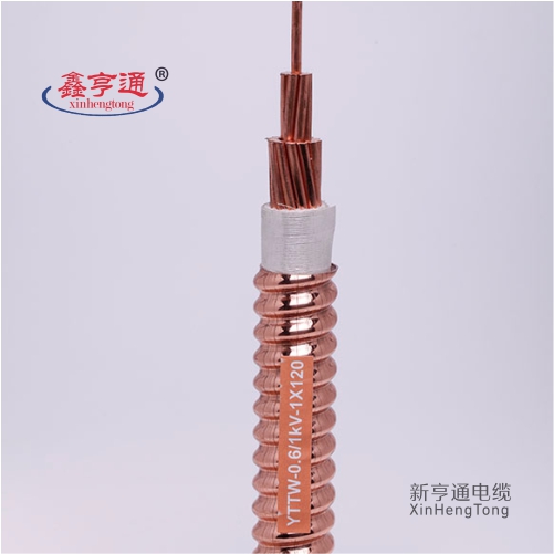 YTTW-0.6/1KV-1X120