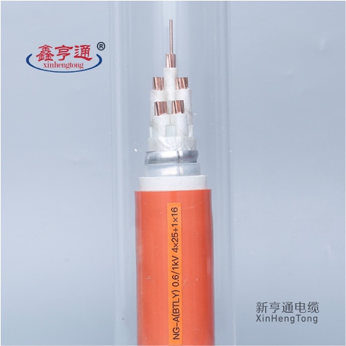 NG-A(BTLY) 0.6/1kV 4X25+1X16