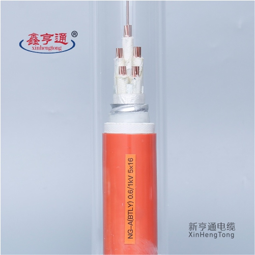 NG-A(BTLY) 0.6/1kV 5X16