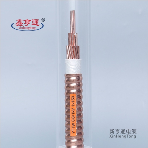 YTTW 0.6/1kV 1X150