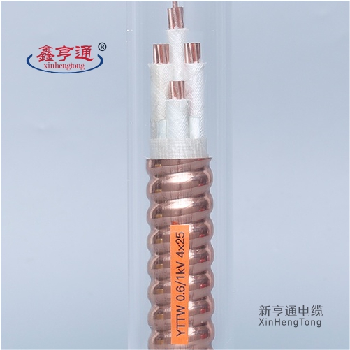 YTTW 0.6/1kV 4X25