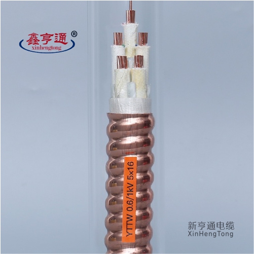 YTTW 0.6/1kV 5X16