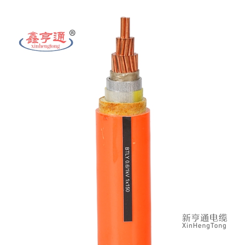 BTLY 0.6/1KV 1x50
