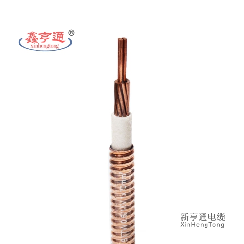 BTTW 0.6/1KV 1X70mm²