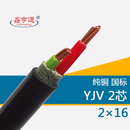 YJV 2X16 0.6/1KV