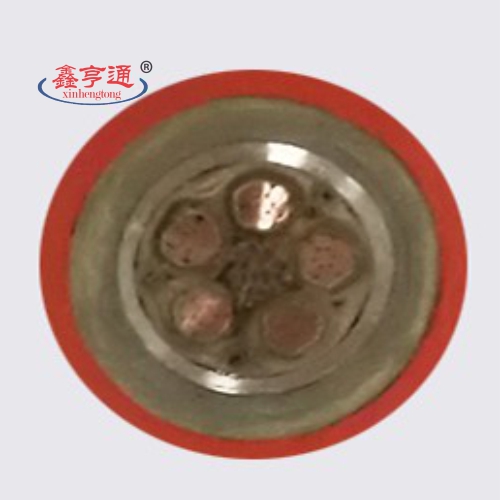 NG-A(BTLY)-0.6/1KV 5x10mm2