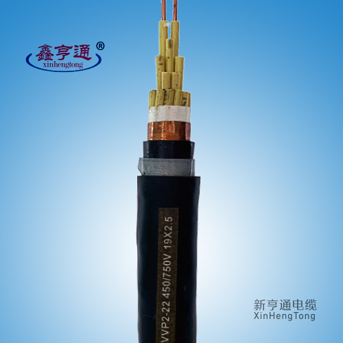 塑料绝缘控制电缆KVVP2-22 450/750V 19x2.5