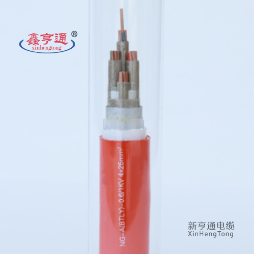 NG-A(BTLY)-0.6/1kV 4x25mm²
