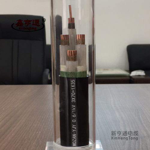 WDZAN-YJY 0.6/1kV 3x70+1x35mm2